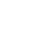 Phone White Icon